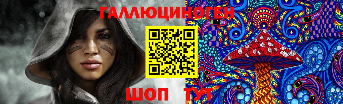 Галлюциногенные грибы Psilocybine cubensis Ачинск