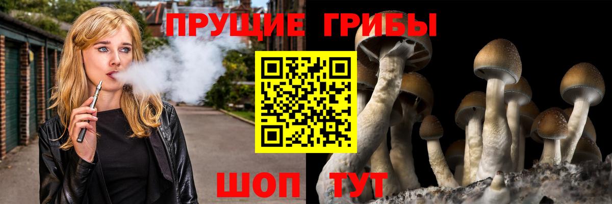 где продают наркотики  Вход с VPN  Ачинск  Псилоцибиновые грибы Cubensis 