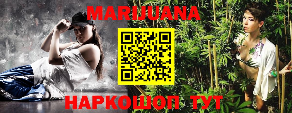 Бошки Шишки планчик Ачинск